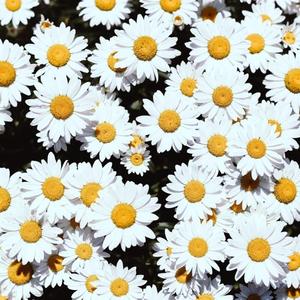 麻豆村-欧美性爱影视
